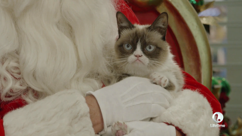 "Grumpy Cat" Holiday Promo